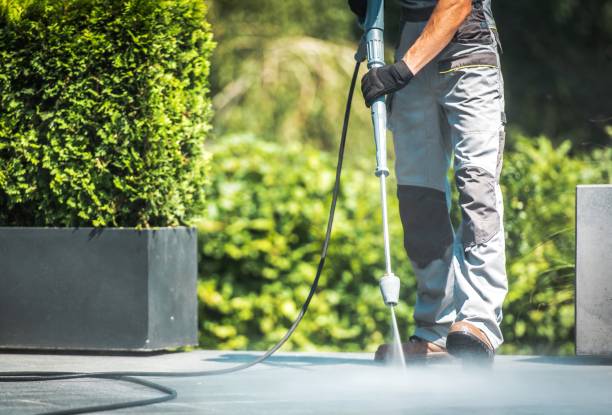 Best Animal Enclosure Cleaning  in Arp, TX