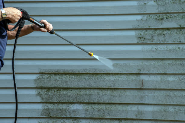 Best Driveway Pressure Washing  in Arp, TX